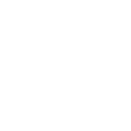 Dani Gundlach