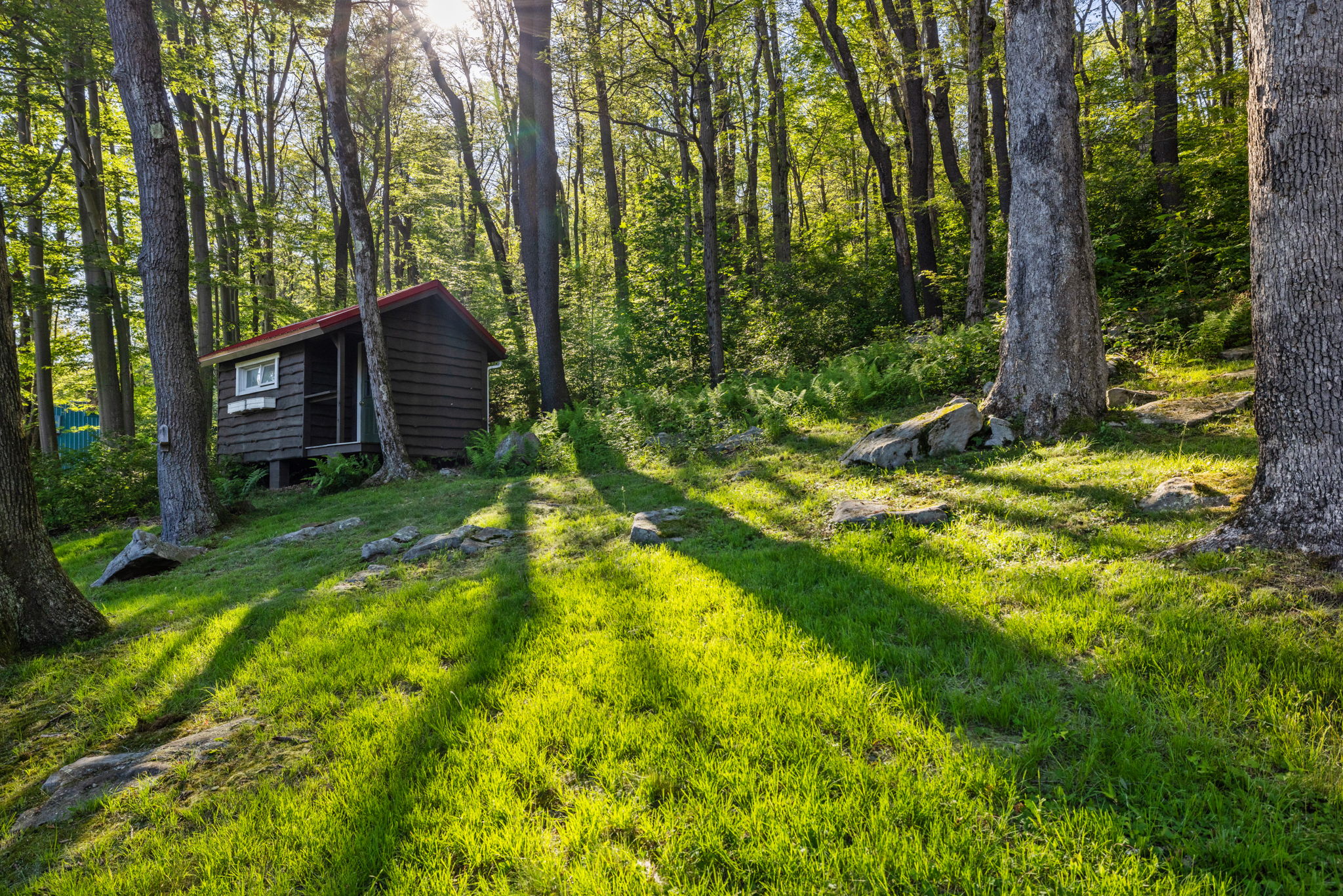 62-2240_county_line_rd-Backyard